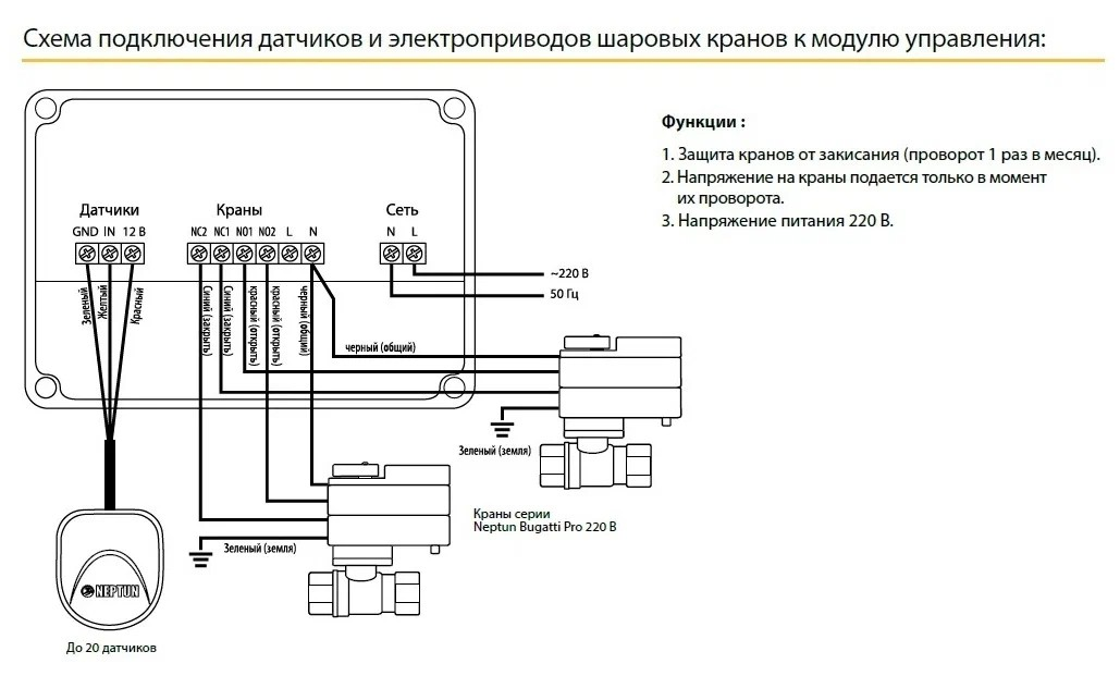 Без имени